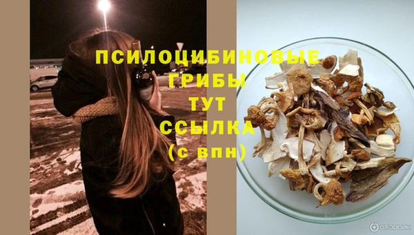 mix Алексин