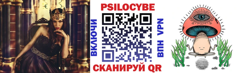 Галлюциногенные грибы мухоморы  купить наркотики цена  Кизел 